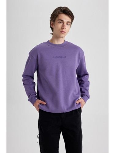 DEFACTO Boxy Fit Crew Neck Sweatshirt