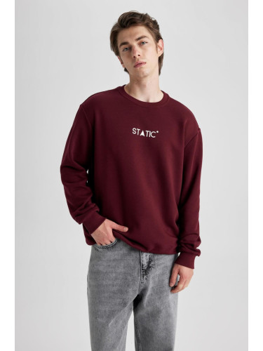 DEFACTO Regular Fit Crew Neck Sweatshirt