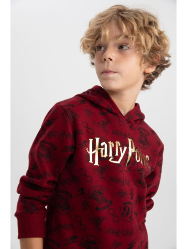 DEFACTO Boys Harry Potter Regular Fit Hooded Sweatshirt