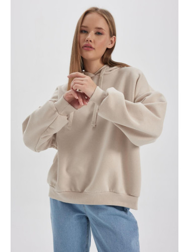 DEFACTO Coool Loose Fit Hooded Thick Sweatshirt