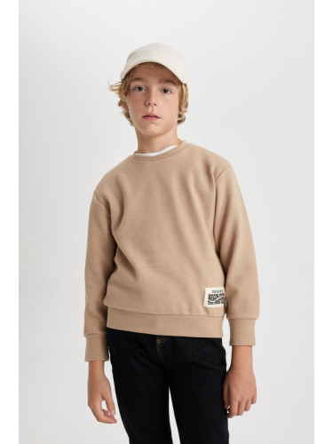 DEFACTO Boy's Crew Neck Sweatshirt