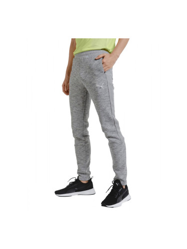 PUMA Evostripe Pants Grey