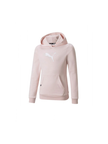 PUMA Power Graphic Hoodie Pink