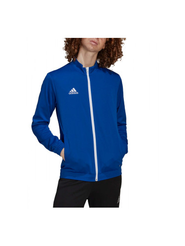 ADIDAS Entrada 22 Tracktop Royal Blue