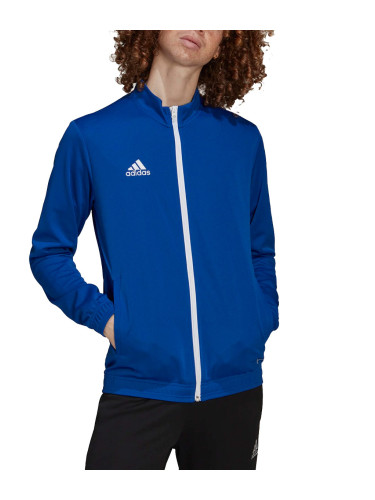 ADIDAS Entrada 22 Tracktop Royal Blue