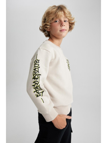 DEFACTO Boy New Regular Fit Crew Neck Sweatshirt