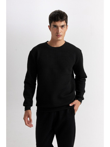 DEFACTO Men's Black Regular Fit Crew Neck Jacquard Sweatshirt