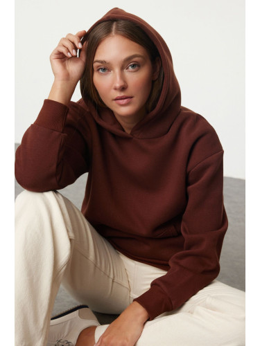 Trendyol Brown Hooded Regular/Normal Pattern Knitted Sweatshirt