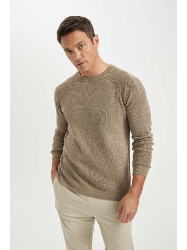 DEFACTO Men's Beige Standard Fit Regular Cut Crew Neck Warm Sweater