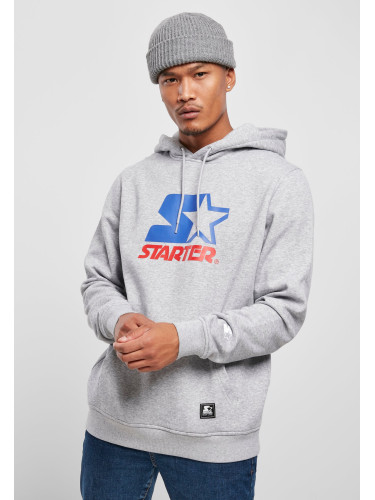 Starter Two Color Logo Hoody h.Gray