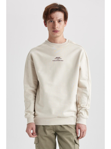 DEFACTO Boxy Fit Crew Neck Printed Sweatshirt