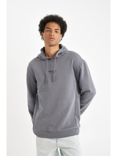 DEFACTO Men's Gray Regular Fit Hooded Printed Sweatshirt