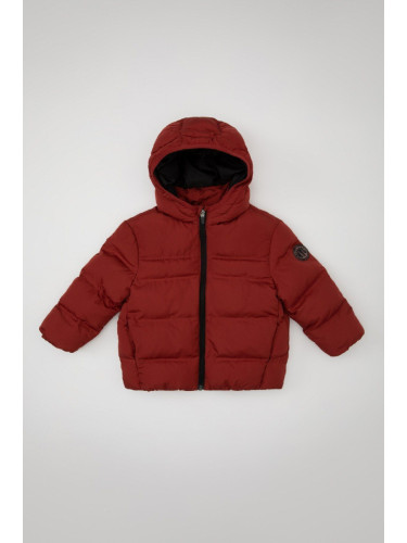 DEFACTO Baby Boy Water Repellent Fabric Hooded Puffer Jacket