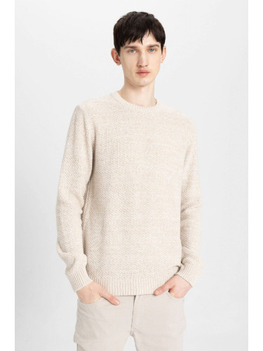 DEFACTO Men's Beige Standard Fit Regular Cut Crew Neck Textured Basic Knitwear Sweater