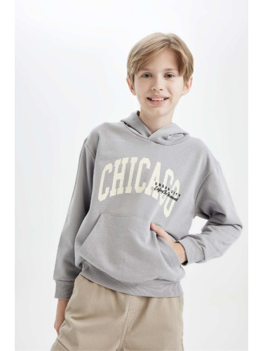 DEFACTO Boy Gray Regular Fit Hooded Pocket Sweatshirt