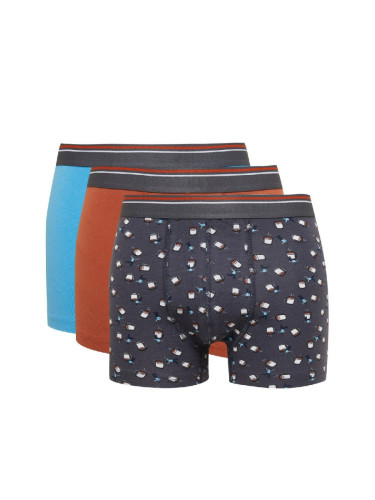 DEFACTO Men's Patterned 3-Pack Boxer