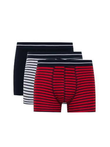 DEFACTO Regular Fit 3-pack Boxer