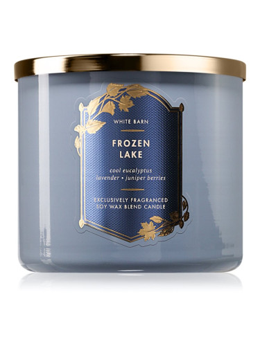 Bath & Body Works Frozen Lake ароматна свещ 411 гр.