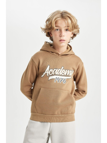 DEFACTO Boy Brown Regular Fit Hooded Pocket Thick Sweatshirt