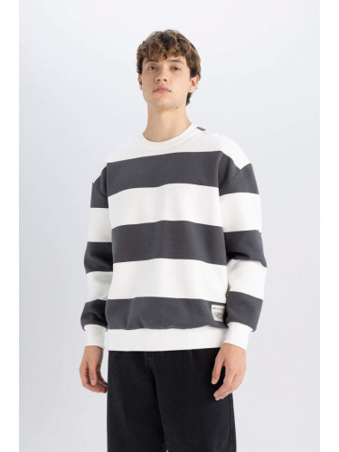 DEFACTO Men's Anthracite Boxy Fit Crew Neck Striped Sweatshirt