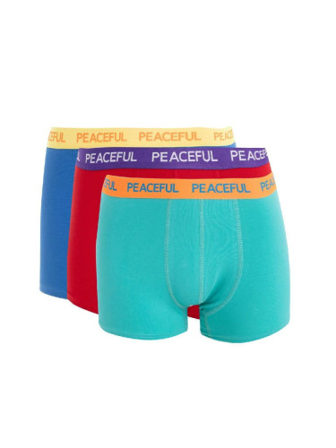 DEFACTO Regular Fit 3-pack Boxer