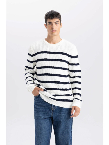 DEFACTO Men's Ecru Standard Fit Regular Cut Crew Neck Striped Sweater