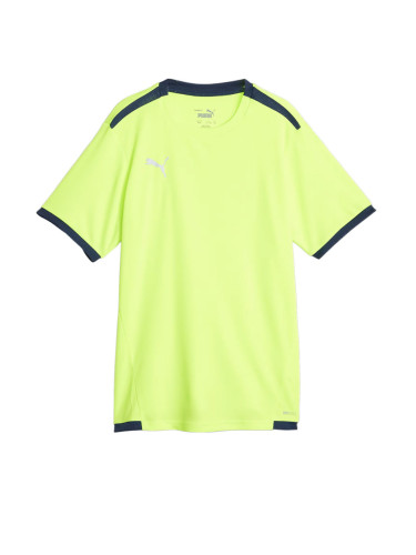 PUMA TeamLiga DryCell Football Tee Green