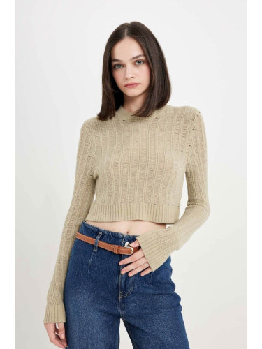 DEFACTO Women's Regular Fit Crop Crew Neck Knitted Hole Knitwear Sweater