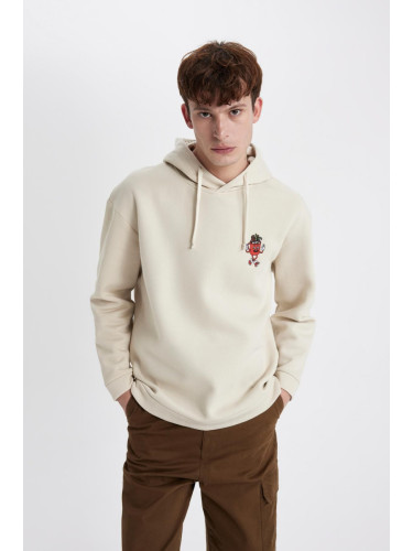 DEFACTO Comfort Fit Hooded Sweatshirt