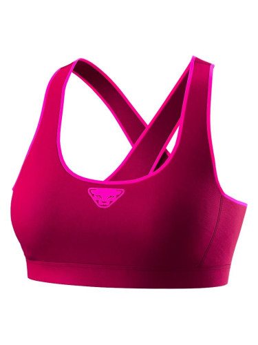 Dynafit Alpine Bra Sangria Women's Bra