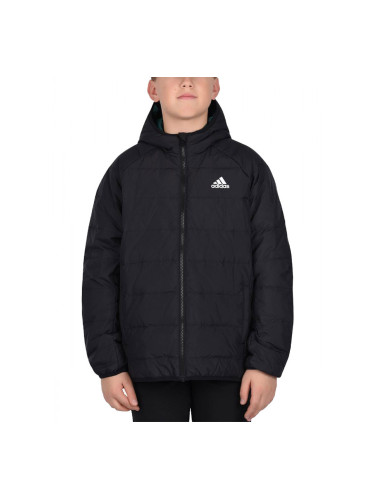 ADIDAS Down Frosty Winter Jacket Black