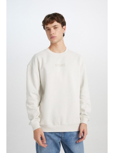 DEFACTO Men's Boxy Fit Crew Neck Printed Sweatshirt