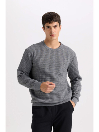 DEFACTO Grey Regular Fit Crew Neck Jacquard Sweatshirt