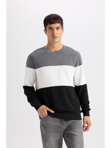 DEFACTO Regular Fit Crew Neck Jacquard Sweatshirt