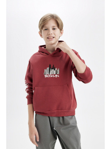 DEFACTO Boy Printed Hooded Kangaroo Pocket Thick Sweatshirt Fabric Sweatshirt