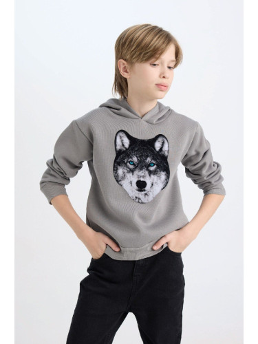 DEFACTO Boy Regular Fit Hooded Printed Sweatshirt