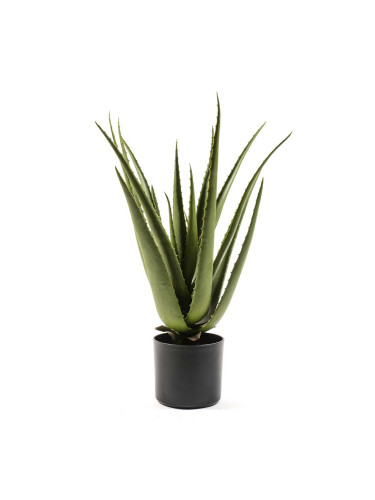 ДЕКОРАТИВНО РАСТЕНИЕ АЛОЕ В КАШПА 60CM