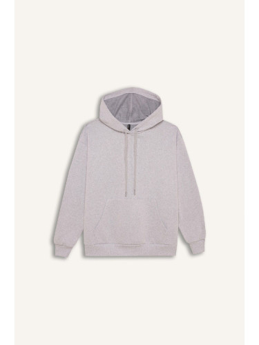 DEFACTO Relax Fit Hooded Kangaroo Pocket Thick Casual Basic Plain Gray Sweatshirt