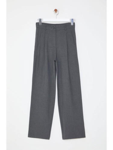 Trendyol Grey Wide Leg Pleated Woven Trousers