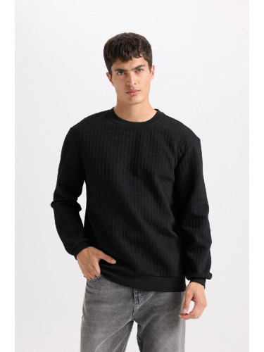 DEFACTO Regular Fit Crew Neck Jacquard Basic Plain Sweatshirt