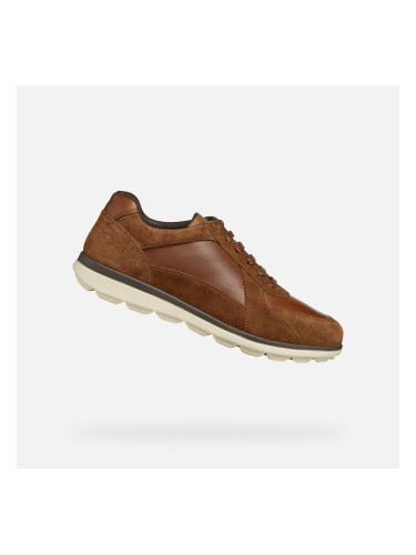 Brown men's sneakers Geox Spherica Ec12 - Men's