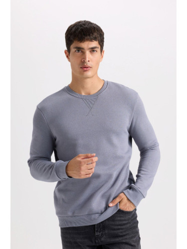 DEFACTO Regular Fit Crew Neck Thick Basic Plain Sweatshirt