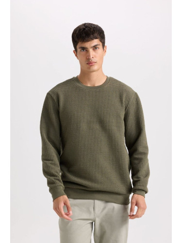 DEFACTO Regular Fit Crew Neck Jacquard Sweatshirt