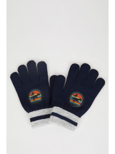 DEFACTO Boy Printed Knitted Gloves