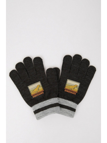 DEFACTO Boy Printed Knitted Gloves