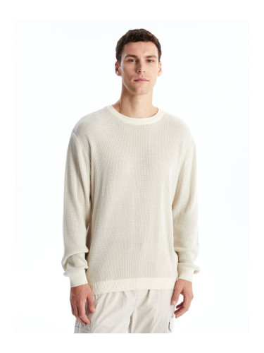 LC Waikiki Crew Neck Long Sleeve Men's Knitwear Sweater