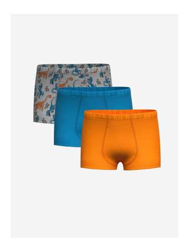 LC Waikiki Printed Boy's Boxer Set of 3