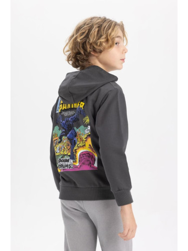 DEFACTO Boy's Marvel Comics Hooded Sweatshirt