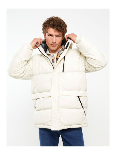 LC Waikiki Standard Mold Hooded Men's Puffer Coat