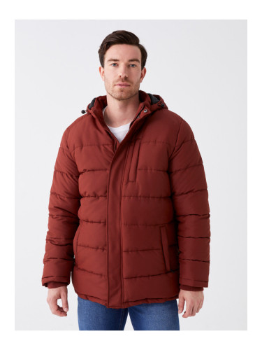 LC Waikiki Standard Mold Hooded Men's Puffer Coat